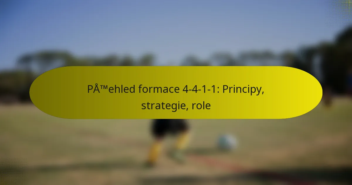 Přehled formace 4-4-1-1: Principy, strategie, role